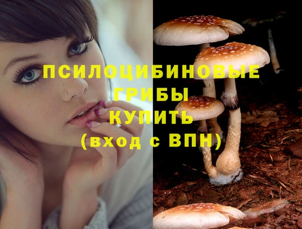 СК Богданович