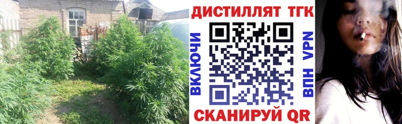 Дистиллят ТГК жижа  kraken ТОР  Невель 