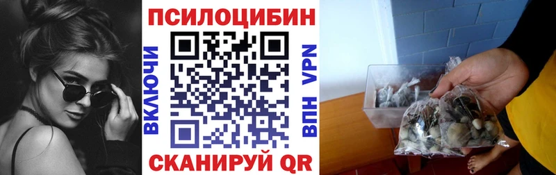 Псилоцибиновые грибы Psilocybe KRAKEN зеркало Невель
